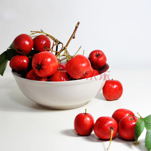 Crataegus Hawthorn Hawthorn Fructus cratorii ekstrak PE bubuk - Product Image 2