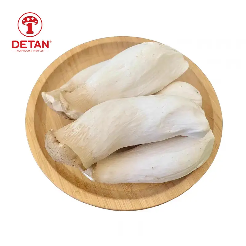 high quality fresh king oyster mushroom detan cultivate royal trumpet mushrooms with wholesale price
