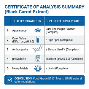 Poudre d'extrait de carotte noire naturelle de haute pureté Anthocyanine Vitamine C Carotène noir Extraction par solvant Qualité alimentaire - Product Image 6