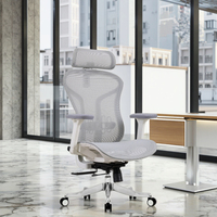 Chaise de bureau ergonomique en maille à dossier moyen, nouveau produit Foshan, avec fonctions réglables, design moderne