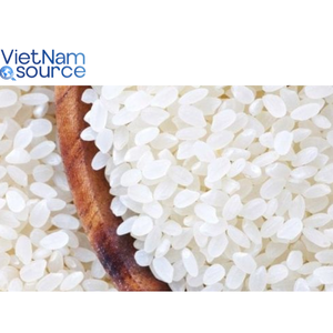 เมล็ดแคลโรสเบากลิ่นหอมอ่อนโยนเลือกได้อย่างสมบูรณ์แบบรสชาติหวานข้าวสำหรับมื้ออาหารทุกวัน-โรงงานผลิตเวียดนาม - Product Image 2