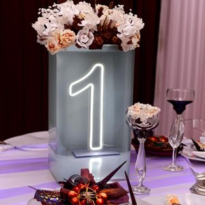 Letrero de Neón LED Número Uno para el Día Especial del Bebé con USB y Caja de Baterías para Fiestas de Cumpleaños y Modelo de Logotipo - Product Image 1