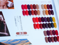 Ensemble de vernis à ongles en gel rouge brun chaud d'automne, 24 couleurs, UV LED, à retirer par trempage, étiquette privée personnalisée OEM pour salon de manucure