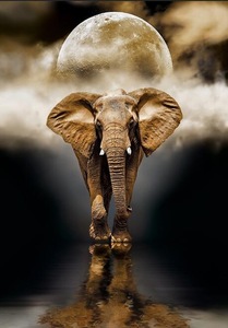 Stampe su Tela di Elefanti <span class=keywords><strong>Africani</strong></span> in Stile Nordico, Poster e Stampe di Animali per Decorazione del Soggiorno - Product Image 5