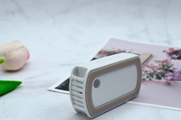 Sensor suhu dan kelembapan nirkabel IoT BLE iBeacon tag logger bluetooth beacon