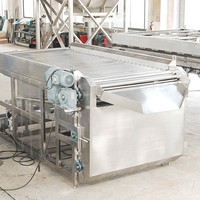 500Kg 380V Fruit & Groenten Sortering Sorteermachine Met 304 Roestvrij Staal Voor Landbouwbedrijven Zilver Grotere Houten Kist