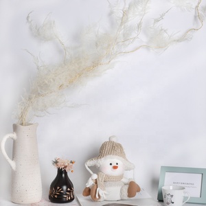 Matériaux d'artisanat de haute qualité, feuilles de fougère Ming séchées, fougère d'<span class=keywords><strong>asperge</strong></span> naturelle conservée pour la décoration de mariage - Product Image 5