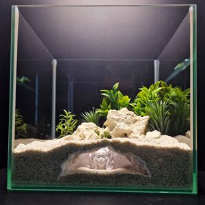 Décoration d'<span class=keywords><strong>aquarium</strong></span> imprimée en 3D : Cachette en forme de maison pour serpents, lézards, petits poissons et crevettes - Product Image 2