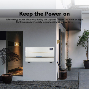 Kit solaire mural ultra-fin 6,6 kWh avec batterie BYD Blade 51,2 V 130 Ah pour stockage d'énergie - Product Image 6