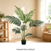 Tanaman Pot Buatan Simulasi Tinggi Monstera Olive Hawaiian Schefflera dengan Pot Plastik Hitam untuk Pajangan Rumah