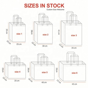 Bolsas De Compra No Tejidas Bolsa De Tela No Tejida Bolsas Ecológicas Reutilizables Ecológico Logotipo Personalizado - Product Image 5