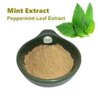 Extrait de menthe pure naturelle de haute qualité, extrait de menthe poivrée, ingrédient en vrac pour compléments alimentaires, poudre d'extrait de feuille de menthe poivrée 10:1