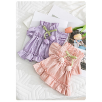 Robe de luxe légère en polyester pour chien et chat, coupe princesse, plissée tulipe, lavable, populaire, pour printemps/été, vêtements pour animaux de compagnie Teddy