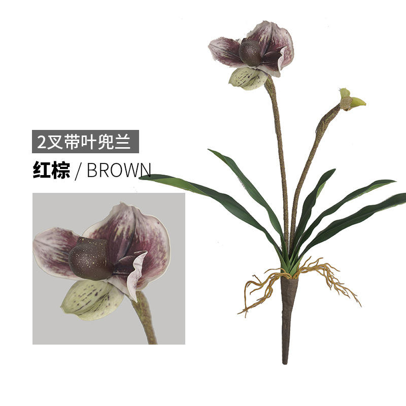 น้ำตาลแดง