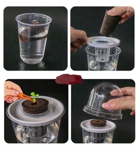 Vaso per Semina Idroponica, Piccolo Contenitore per Coltivazione di Fiori e Germogli, Vaso Trasparente con Cupola per Umidità - Product Image 3