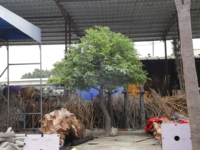 Arbre artificiel Ficus Banyan vert en plastique de 5 m de haut pour décoration de jardin et de mariage, idéal pour l'intérieur et l'extérieur