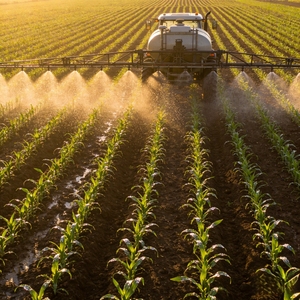 Acondicionador de Suelo con Bacillus Subtilis: Aditivo Microbiano de Alta Actividad para Agricultura Orgánica, 10 Mil Millones de UFC/g, Promueve el Crecimiento de Raíces - Product Image 3