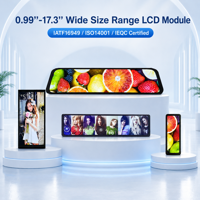 Factory Wholesale for LCD Touch Screen Display Assembly | High Quality 1 Year Warranty Fits for Models 10.16" TFT Display