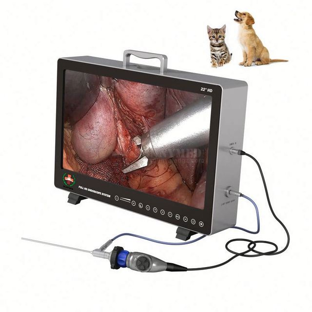 SY-PS050 Veterinary 4 in 1 Medical All in One Full HD  Endoscopy Camera with 22 Inch Medical Endoscopy Monitor