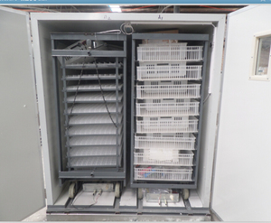 Giá Bán Buôn Giữ 8448 Trứng Gà Lồng Ấp 98% Ấp Trứng Tỷ Lệ Máy Ấp Trứng - Product Image 2