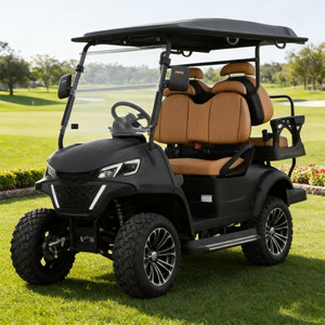 Voiturette de golf tout-terrain de luxe : sièges en cuir, chargement USB, auvent résistant aux intempéries pour propriétés et routes non publiques - Product Image 1