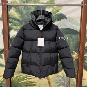 Veste d'hiver légère unisexe en coton rembourré à capuche, style streetwear, avec fermeture éclair et coutures horizontales - Product Image 1