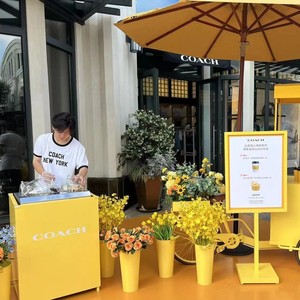 Bảng Top Gelato <span class=keywords><strong>Maker</strong></span> Pro V1 một hương vị CE giấy chứng nhận NSF Gelato máy cho quán cà phê tự động nhỏ thương mại Máy làm kem - Product Image 3