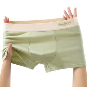 Calzoncillos de Algodón para Hombre, Calzoncillos Cortos Transpirables de Algodón para Jóvenes, Calzoncillos Cortos de Talla Grande para Hombre - Product Image 1
