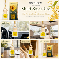 Parfum pour voiture 8ml, flacon en verre avec bouchon en bois, diffuseur d'air suspendu pour voiture, parfum personnalisé, OEM ODM, fournisseur BSCI