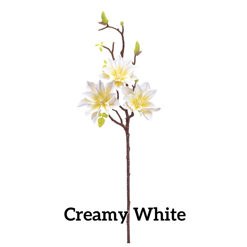 Blanc crème