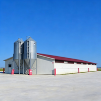 Poulailler préfabriqué économique en structure acier moderne pour l'élevage avicole à grande échelle avec personnalisation