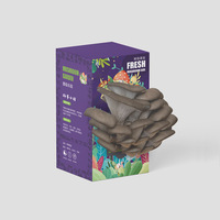 Kit de culture de champignons huîtres carrés Harvest Gourmet, écologique, pour la culture à domicile