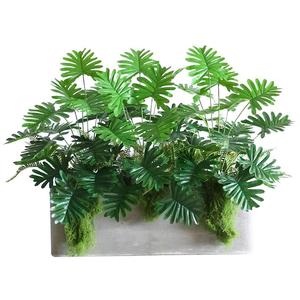 Planta Artificial <span class=keywords><strong>de</strong></span> Alta Gama, Bonsái <span class=keywords><strong>de</strong></span> Plástico, Elegante Planta <span class=keywords><strong>de</strong></span> Interior Blanca, Arreglos para Techo, <span class=keywords><strong>Ramo</strong></span> <span class=keywords><strong>de</strong></span> Hojas Artificiales - Product Image 6