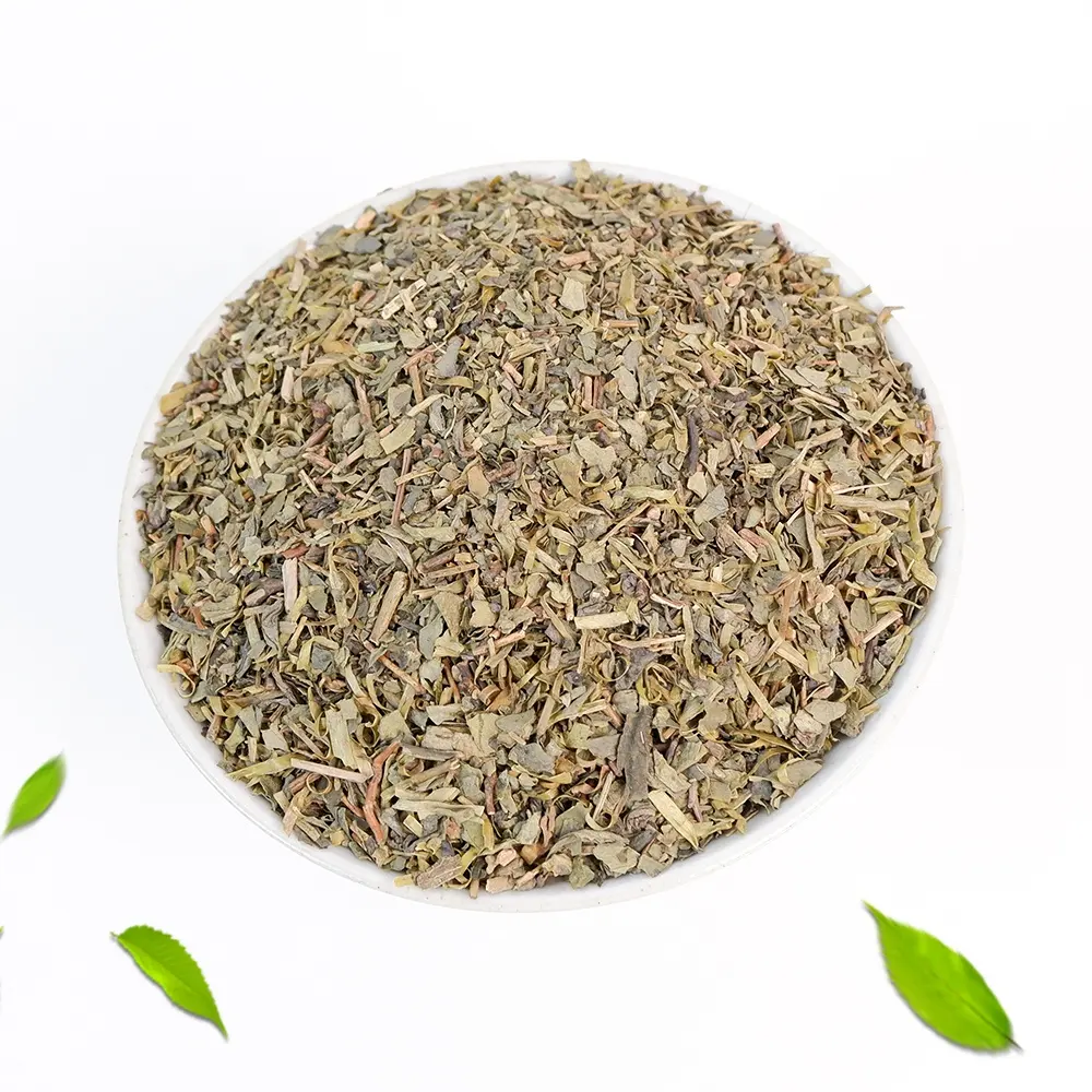 Teh hijau Tiongkok OEM The Vert De Chine Chunmee Tea 3008 pabrik Maroko importir