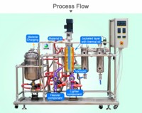 Équipement de distillation moléculaire en acier inoxydable, évaporateur à trajet court pour la transformation de l'huile de poisson, des huiles et des graisses