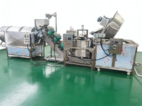 Machine à Frire Automatique à Gaz pour Chips de Pommes de Terre, Tranches de Bananes et Cacahuètes, avec Agitation Automatique et Égouttoir Intégré