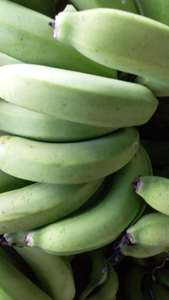 Fruta fresca, plátano de VIETNAM, venta al por mayor - Product Image 3