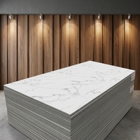 Panneau mural décoratif en PVC à l'aspect pierre naturelle, feuille de marbre UV, pour hôtels et villas, avec solutions de conception graphique et de modèles 3D
