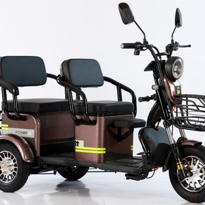 Tricycle électrique cargo en gros 800W à carrosserie ouverte, scooter à 3 roues pour femme âgée - Product Image 5