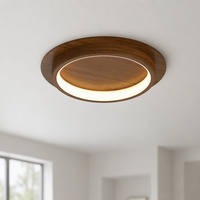 Plafonniers LED modernes minimalistes ultra-élégants, idéaux pour Instagram, avec trois températures de couleur pour couloir, entrée, hall, balcon, dressing