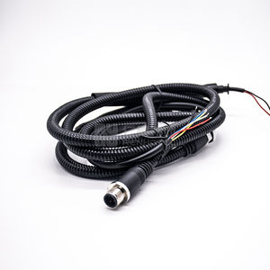 M12 Cable de Sensor de sobremoldeo recto 2 3 4 5 6 8 12 17 Pin macho hembra impermeable A/B/D/X conector de Sensor de código para automatización - Product Image 6
