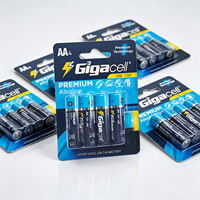 Piles alcalines premium 1,5 V, piles mini Stilo et Stilo de qualité supérieure pour télécommandes, calculatrices, balances
