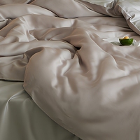 Parure de lit 4 pièces 100 % Lyocell tissé, toucher soie, rafraîchissante, housse de couette respirante, drap et taie d'oreiller pour la maison et l'hôtel