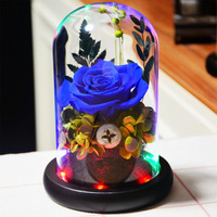 Rose éternelle, fleur séchée sous cloche en verre, coffret cadeau, cadeau créatif pour couple, Saint-Valentin, fête des mères