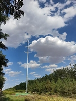 Ligne de transmission électrique autoportante Pylône en acier tubulaire Tour de mât monopolaire Tour de télécommunication Immersion à chaud galvanisée