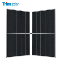 Trina Panneau photovoltaïque 132 cellules bificiel double verre PV Module 675W 680W 685W 690W 695W 700W Trina Panneaux solaires Stock