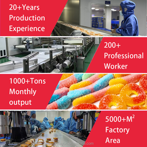 Süßigkeiten-Lieferanten und Hersteller: Großhandel für Gefriergetrocknete Frucht-Gummibärchen und Süßigkeiten – Maßgeschneiderte Gefriergetrocknete Gummibonbons - Product Image 6