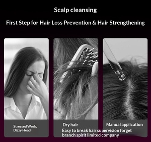 KMT 振動ヘッドマッサージャー電動頭皮マッサージコーム育毛エッセンシャルオイルイオンヘアブラシモデル <span class=keywords><strong>17</strong></span> - Product Image 6