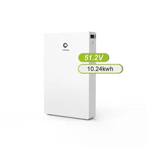 Uienergies nhà LiFePO4 điện tường năng lượng lưu trữ pin 51.2V chu kỳ cuộc sống Giá gắn pin dân cư pin năng lượng mặt trời 10kwh