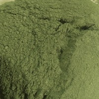 Poudre de Catnip Personnalisée avec Logo OEM, 100% Naturelle, Menthe pour Chat en Tube, Poudre de Catnip Fraîche 100% Naturelle